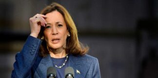 Exploring AI Discourse: Kamala Harris's Insightful Summit Address