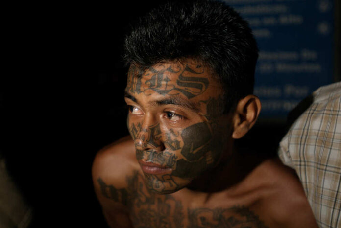 Social Media Rants, Immigration Policy, and the Mystery of MS-13 Tattoos
