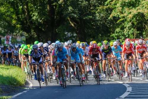 shutterstock_2497070571.jpg Tour de France