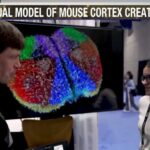 Human Brain Simulation Breakthrough Shocks Science World Scientists Build Digital Mouse Brain with 10 Million Neurons