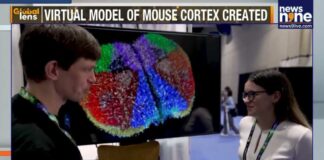 Scientists Build Digital Mouse Brain with 10 Million Neurons