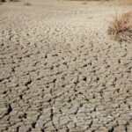 Water Crisis: Looming Disaster Unfolds A dry, cracked earth surface with sparse vegetation