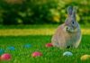 EASTER Tragedy KILLS THREE — Officials Ignored Warnings A rabbit sitting on green grass surrounded by colorful Easter eggs