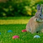A rabbit sitting on green grass surrounded by colorful Easter eggs