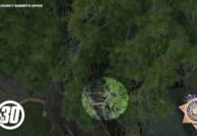 New video shows Porterville suspect being run over by BearCat: KCSO