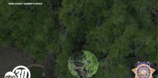 New video shows Porterville suspect being run over by BearCat: KCSO