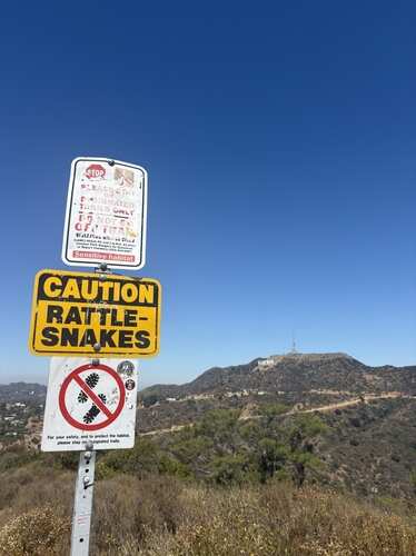 "caution,Rattle-snakes",Sign,,Griffith,Park,,Los,Angeles,,California Warning signs indicating caution for rattlesnakes on a hiking trail