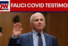 Takeaways from Dr. Fauci's Senate Covid hearing