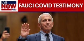 Takeaways from Dr. Fauci's Senate Covid hearing