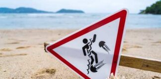 Warning sign about jellyfish hazards on a beach