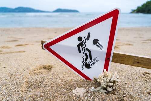 shutterstock_2167241167 Warning sign about jellyfish hazards on a beach