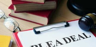 Document titled 'PLEA DEAL' with a gavel and legal books in the background