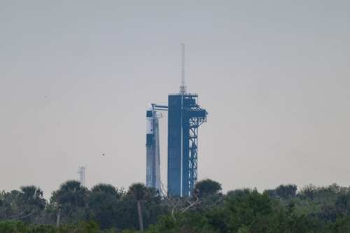 A rocket on a launch pad surrounded by greenery